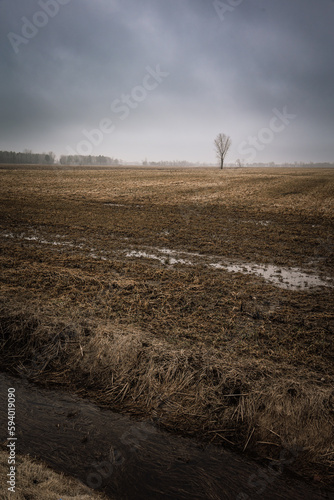 Spring image of rural area in Canada