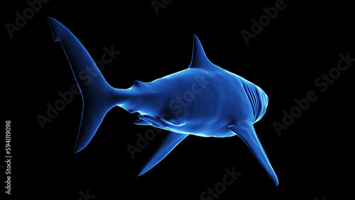 3d illustration of a great white shark photo