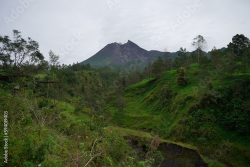 views of the dashing Mount Merapi with a stretch of green trees