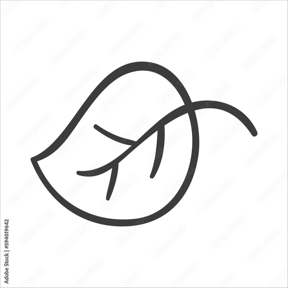leaf from a tree. Hand drawn vector illustration leaf from a tree. Hand drawn vector illustration