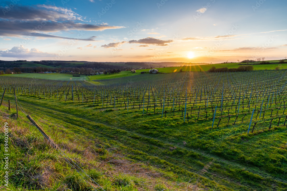 Magical sunset with a dramatic cloudscape in the rolling hills and the vineyards of Fromberg, Voerendaal in the South Limburg in the Netherlands during early spring season with amazing sunbeams.