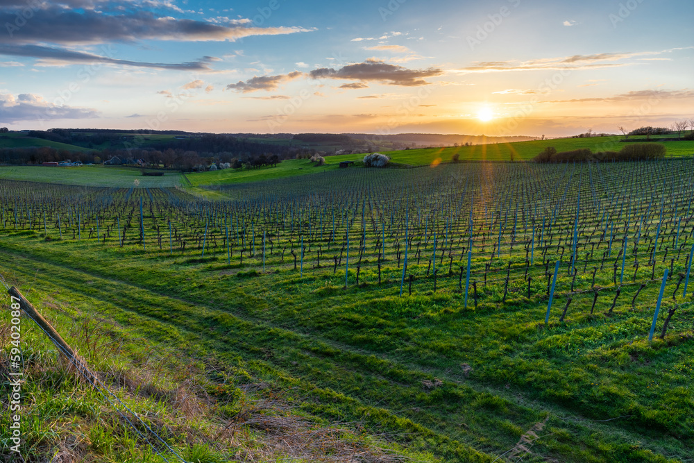 Magical sunset with a dramatic cloudscape in the rolling hills and the vineyards of Fromberg, Voerendaal in the South Limburg in the Netherlands during early spring season with amazing sunbeams.