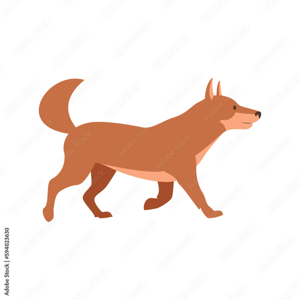 Cute Akita Inu Dog Walking Flat Vector Illustration in Brown Color. Funny Cartoon Character with Smiling Face and Wagging Tail. Use as Icon, Sign, or Design Element for Pet-related Concept
