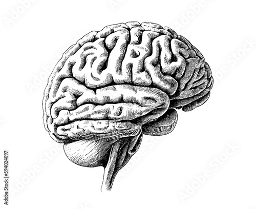 Realistic illustration of a futuristic human brain. 3d science and technology concept. Artificial Intelligence