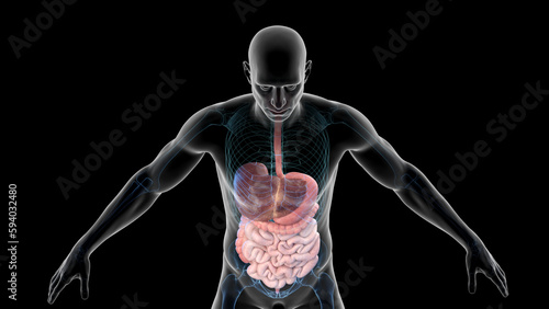 Wallpaper Mural 3d illustration of a man's Torontodigital.ca