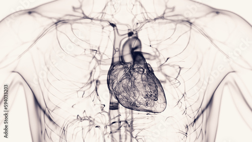3d medical illustration of a man's heart