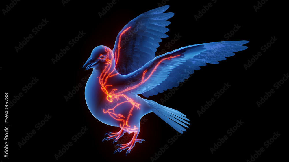 3d illustration of a pigeon's cardiovascular system 3d illustration of a pigeon's cardiovascular system