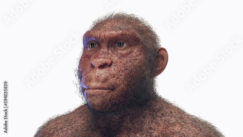 3d illustration of Australopithecus afarensis female photo
