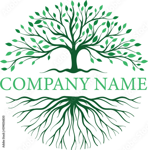 Abstract vibrant tree and root logo design.