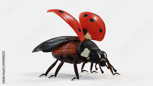 3d illustration of a ladybug