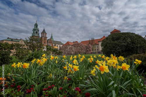 Spring view of Wawel Royal Castle complex in Krakow, Poland. It is the most historically and culturally important site in Poland. Flowers on a foreground