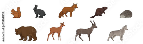 Forest Animal and Habitant with Bunny, Squirrel, Fox, Beaver, Deer and Hedgehog Vector Set