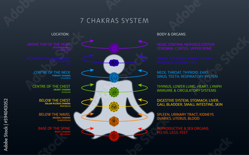 7 chakras system and related body parts, info chart photo