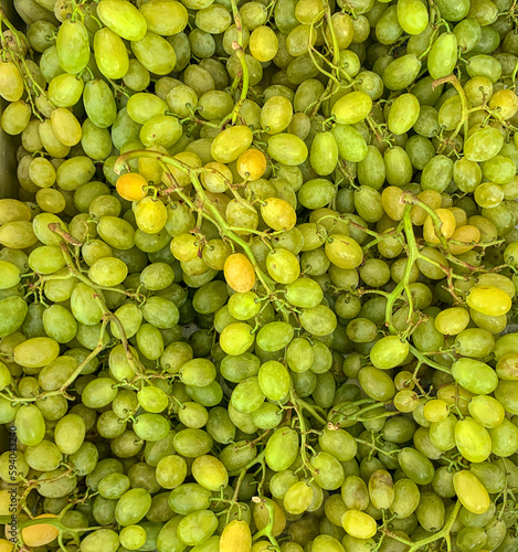 White table grape in quantity photo