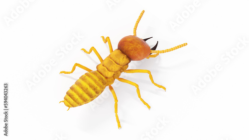 3d illustration of termite