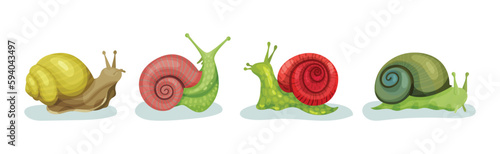 Crawling Snails as Shelled Gastropod with Coiled Shell Vector Set
