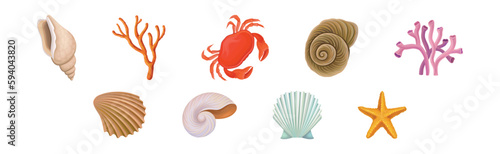 Sea Shell, Crab and Coral as Aquatic Object Vector Set