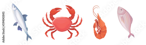 Seafood with Fish, Shrimp and Crab Vector Set