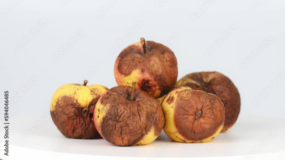 Rotten apples with mold rotate on a white background. The concept of recycling organic waste,organic waste, compost. Rotten apples with mold rotate on a white background. The concept of recycling organic waste,organic waste, compost.