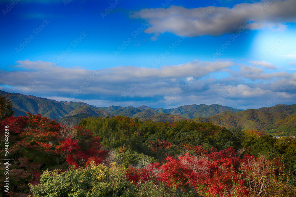 autumn landscape with mountains and blue sky, Red Leaves