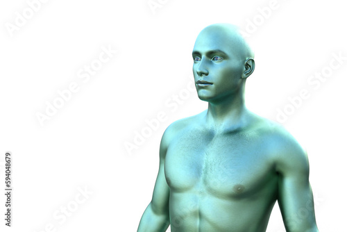 Three dimensional model. Chameleon green male torso. 