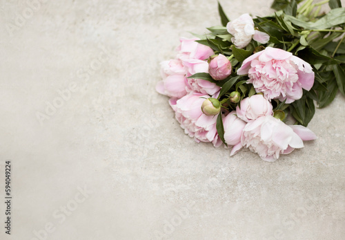 fresh peonies on a concrete background, a bouquet of peonies for a postcard, flower background for congratulations, delicate pink spring flowers, rustic style © Ivanka