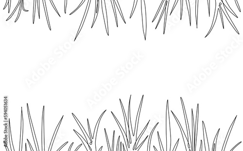 Grass. Two patterns above and below with grass stems that repeat horizontaly with empty space for text. Background with plants. Herbal frame. Vector illustration.