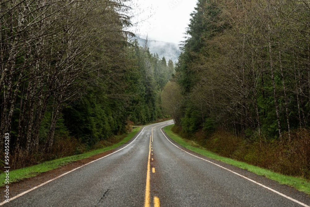 Asphalt, narrow road inside the Olympic National Park, WA, USA through the forest