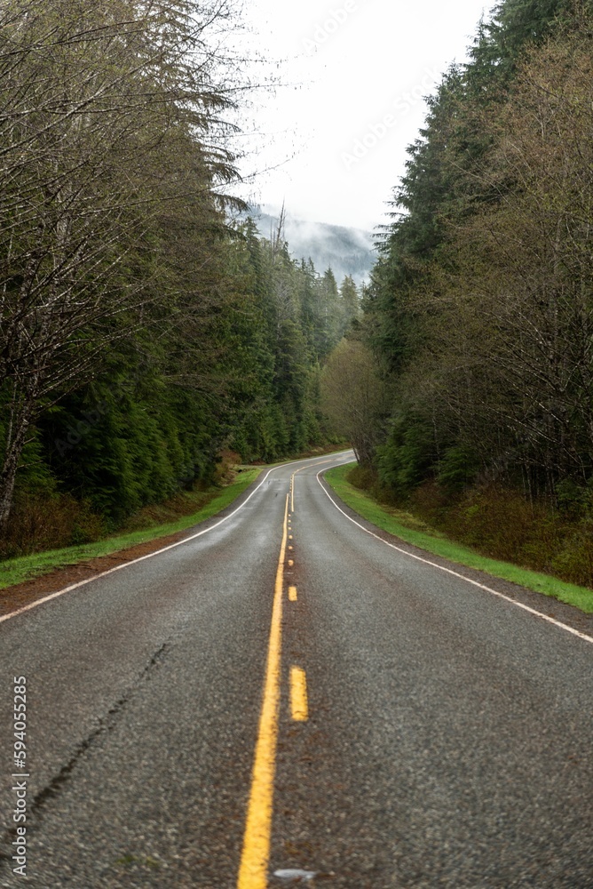 Asphalt, narrow road inside the Olympic National Park, WA, USA through the forest, vertical