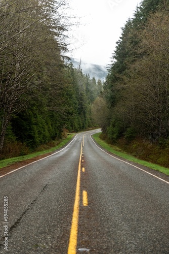 Asphalt, narrow road inside the Olympic National Park, WA, USA through the forest, vertical