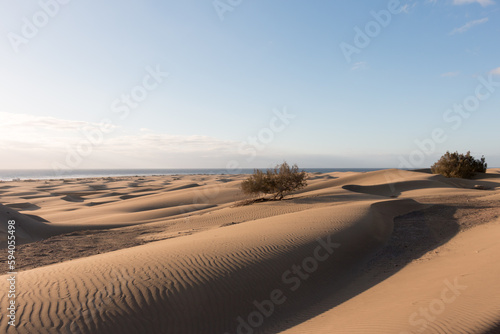 Maspalomas Dunes