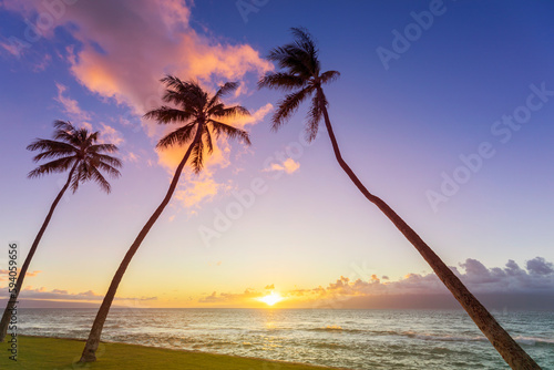 Fototapeta Naklejka Na Ścianę i Meble -  Palm trees on a tropical beach at sunset in Hawaii