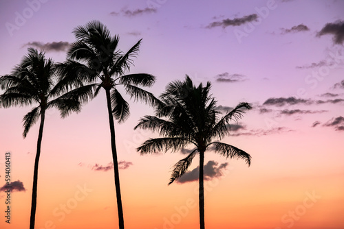 Fototapeta Naklejka Na Ścianę i Meble -  Silhouette coconut palm tree on sunset sky background