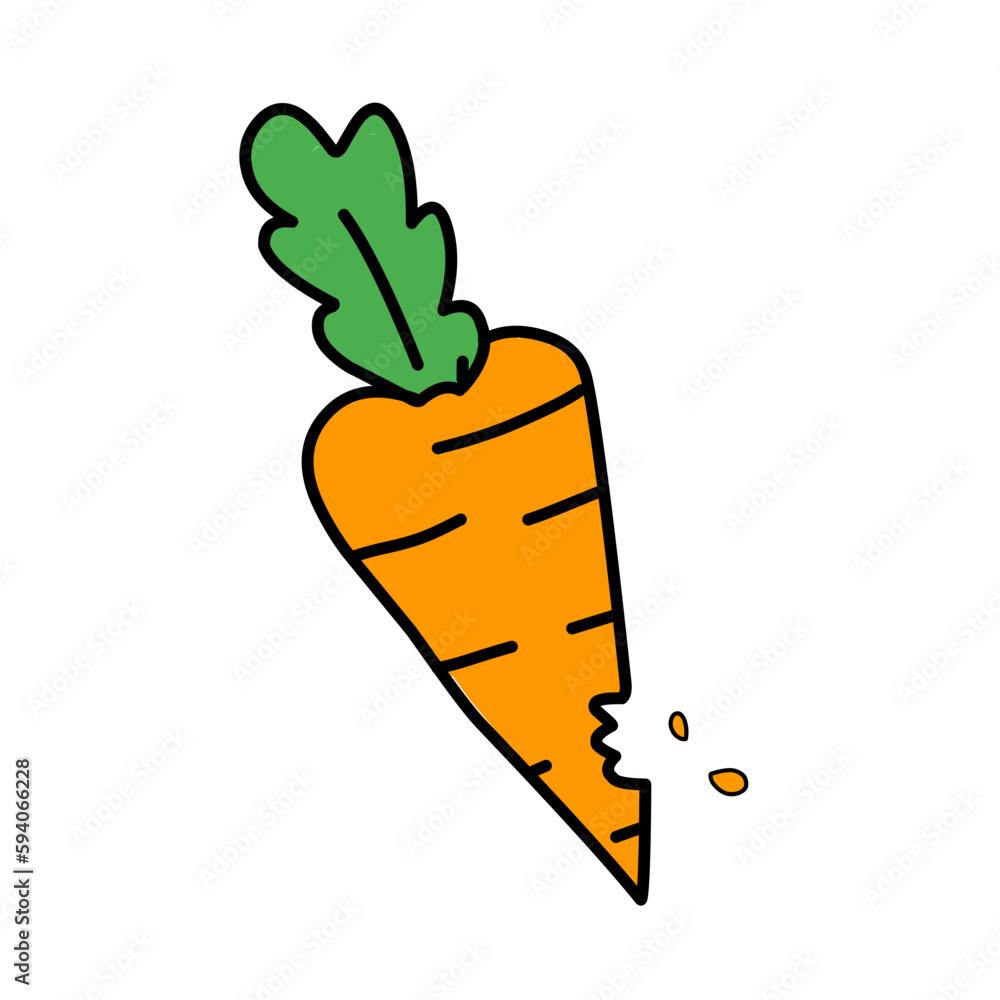 vegetable carrot vegetable carrot