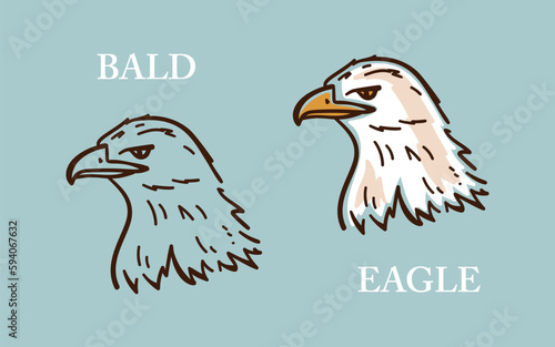 Bald Eagle Head. Vector Bird.