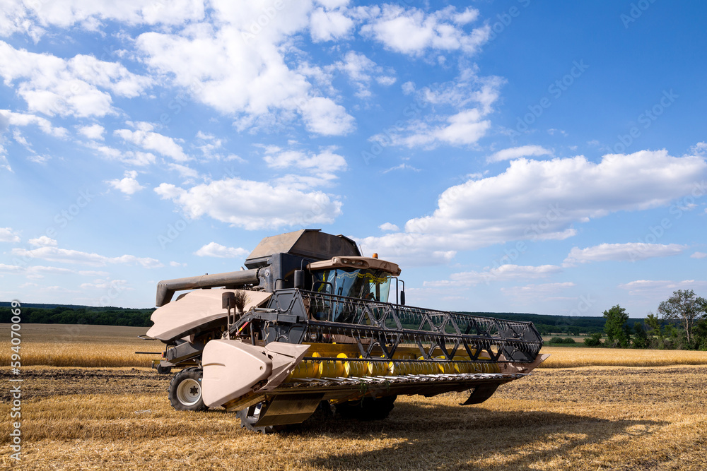 Fototapeta premium A modern combine harvester stands on the field during harvesting withe the hinged frame cutterbar draper combine header.