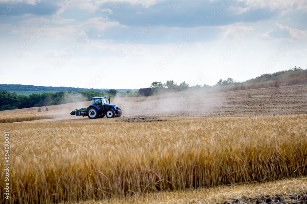Fototapeta premium A modern blue tractor with a trailed disc harrow with a husking roller plows a field on which the spring grain crop has just been harvested. Midsummer in central Ukraine.