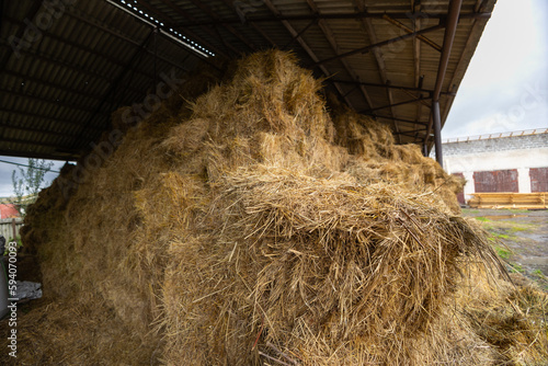 Storage of hay and straw in bales on the farm. Concept theme: Stock raising. Food security. Agricultural. Farming. Food production.