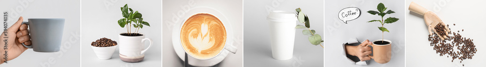 Collage of cups with coffee, roasted beans and plants on light background Collage of cups with coffee, roasted beans and plants on light background