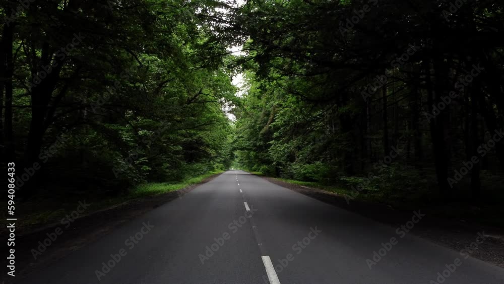 Beautiful road through the forest. Camera movement by the asphalt road between bright green trees on a clear sunny day, shadow from trees on summer day. Freeway through dense forest corridor. Beautiful road through the forest. Camera movement by the asphalt road between bright green trees on a clear sunny day, shadow from trees on summer day. Freeway through dense forest corridor.