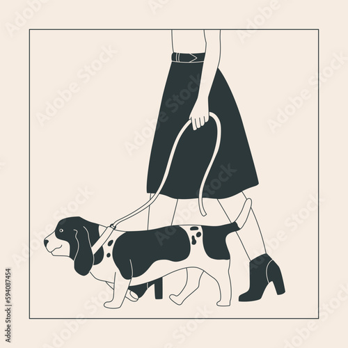 Young woman in a skirt with a dog on a leash. Cute Basset Hound for a walk. Dog show or dog walking in the city or in the park. Vector flat contour graphics.