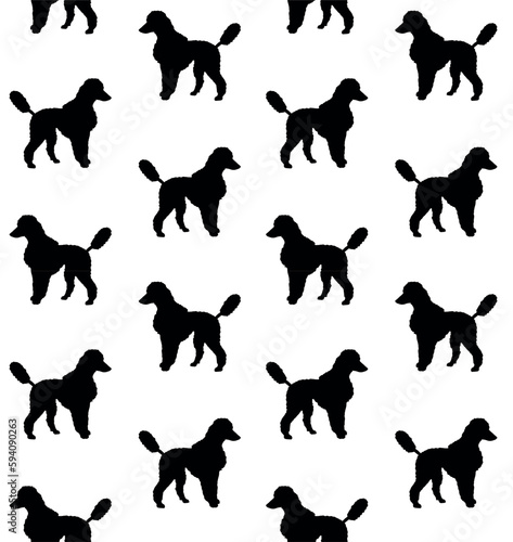 Vector seamless pattern of hand drawn doodle sketch black poodle dog isolated on white background