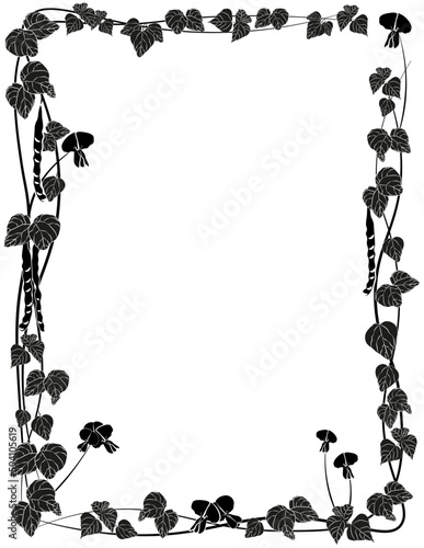 Planta de guía