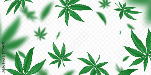 Falling green cannabis leaves isolated on transparent background. Flying defocusing medical marijuana leaves. Ideal for CBD product banner design, label, etc. Vector illustration.