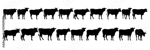 Cow farm silhouettes set  large pack of vector silhouette design  isolated white background