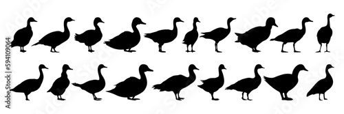 Duck silhouettes set, large pack of vector silhouette design, isolated white background