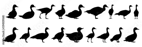 Duck silhouettes set, large pack of vector silhouette design, isolated white background