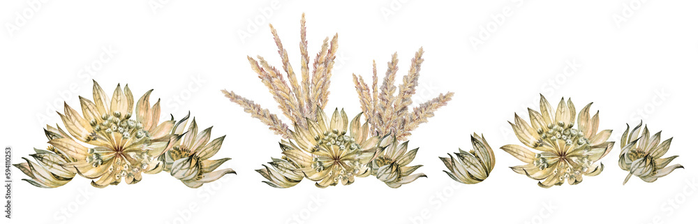 Set watercolor boho bouquet with dry flower and spikelets isolated on white background. Hand-drawn green beige herbarium plant for wedding celebration. Clipart for wallpaper wrapping, decor interior