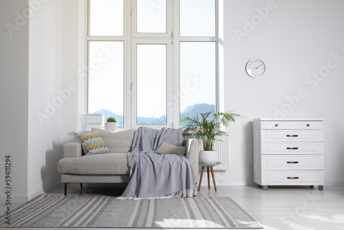 Cosy living room with sofa  chest of drawers and potted plant. Interior design