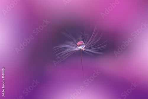 Beautiful Nature Background.Floral Art Design.Abstract Macro Photography.Pastel Flower.Dandelion Flowers.Violet Background.Creative Artistic Wallpaper.Wedding Invitation.Celebration,love.Close up View